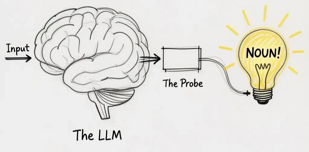 We can't read the LLM's 'brain' directly, so we attach a simple 'probe' to its internal wiring. If the probe's lightbulb for 'NOUN!' lights up at the right time, we've found where the model keeps that concept.